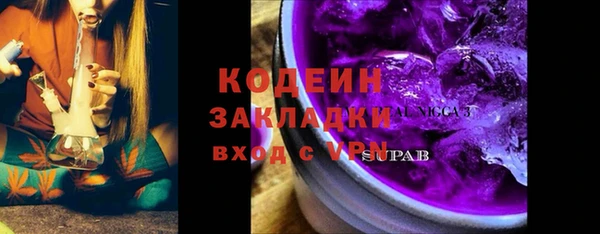 крисы Горняк