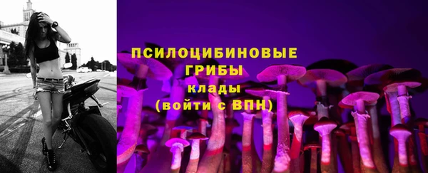 гидропоника Гусев