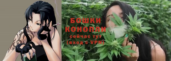 spice Горнозаводск