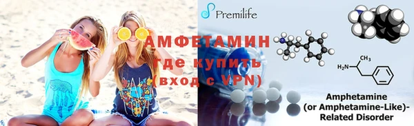 дмт Тайга