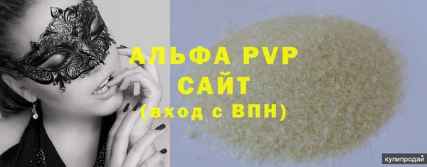 крисы Горняк