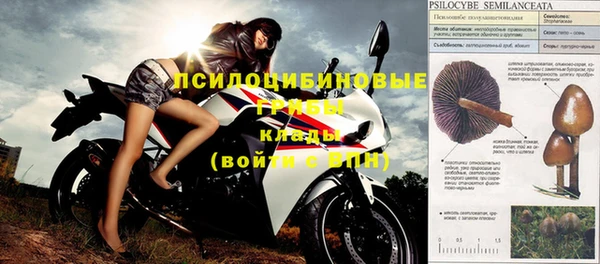 spice Горнозаводск