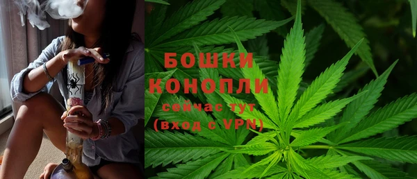 крисы Горняк