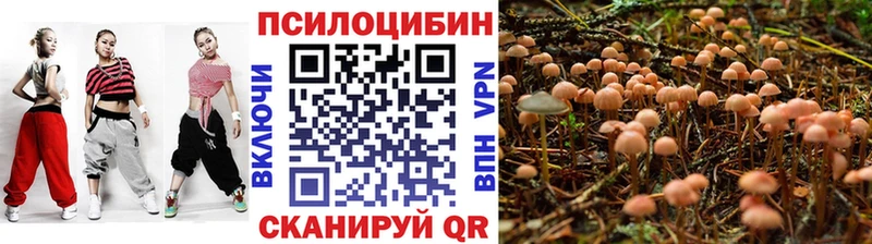 Галлюциногенные грибы мухоморы  купить наркоту  Озёрск 